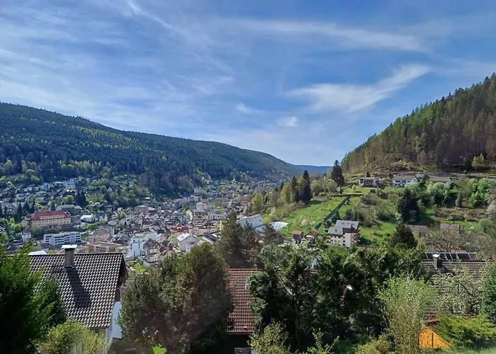 Ferienwohnung Panoramablick