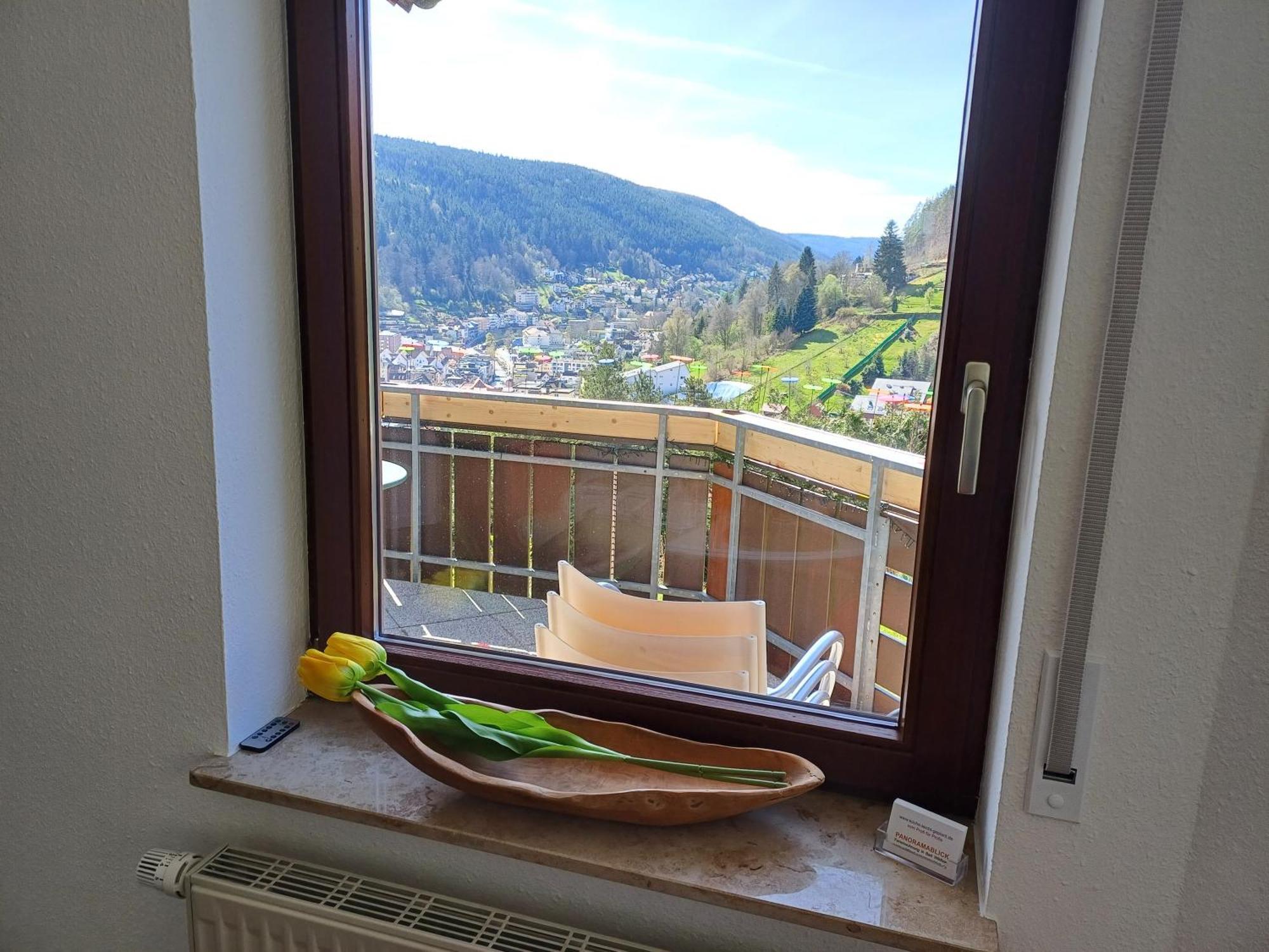 Panoramablick Bad Wildbad