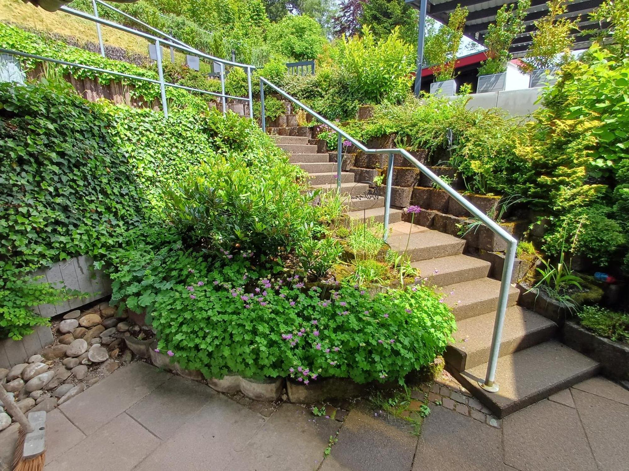 Panoramablick Apartment Bad Wildbad