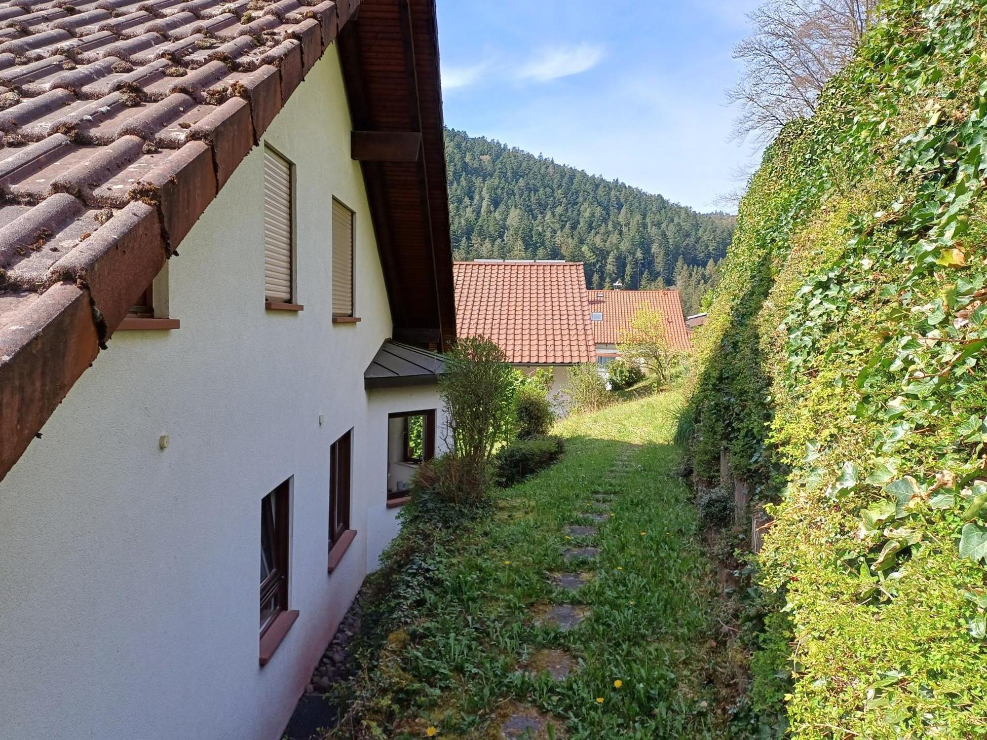 Panoramablick Apartment